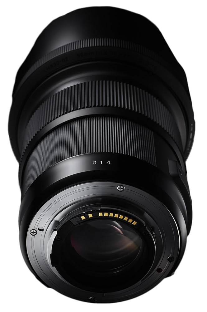 SIGMA 50mm f/1.4 DC レンズ Amazon.com: Sigma 50mm f/1.4 DG DN Art Lens for Sony E